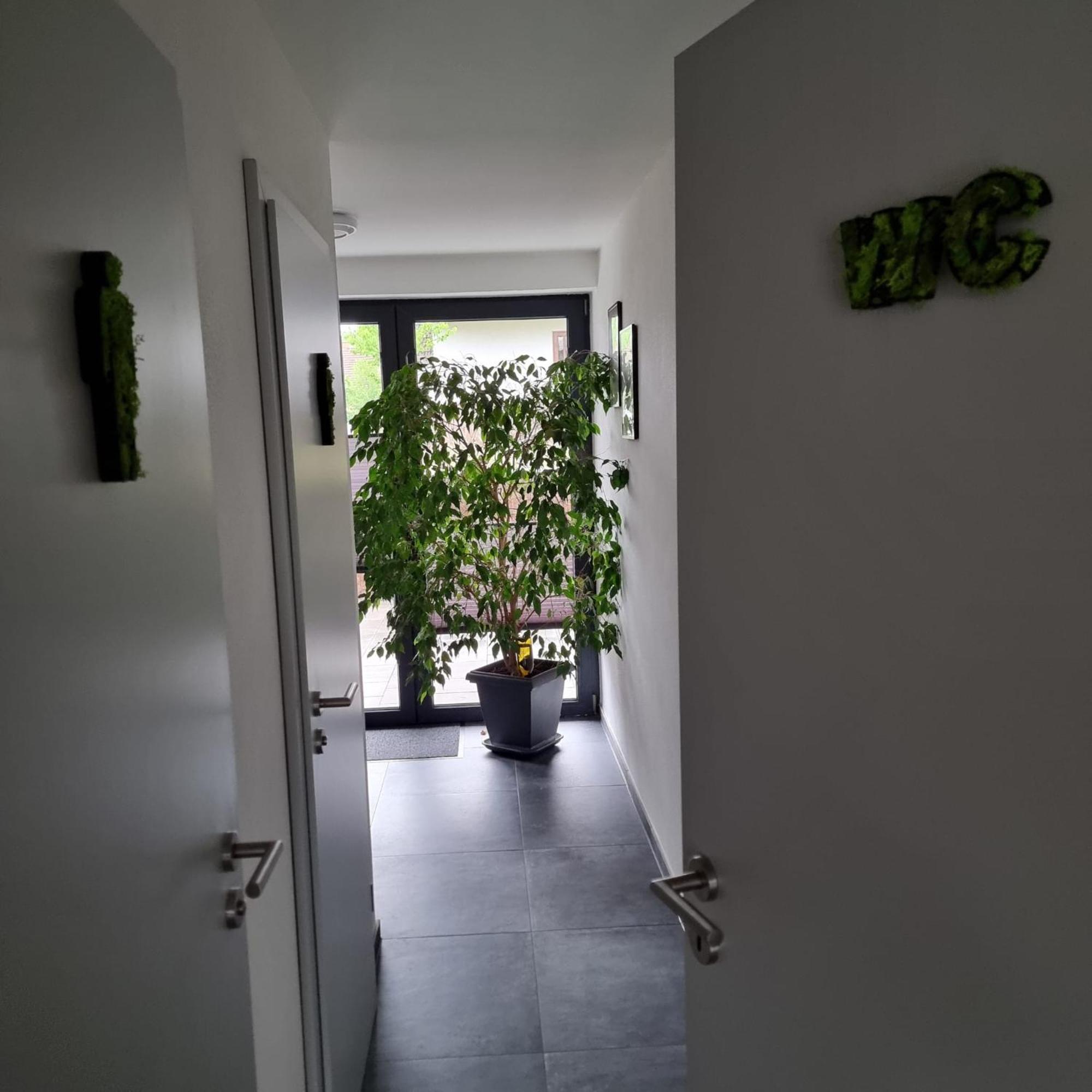 Pfalztraum Fewo'S Bruchweiler-Bärenbach Kültér fotó